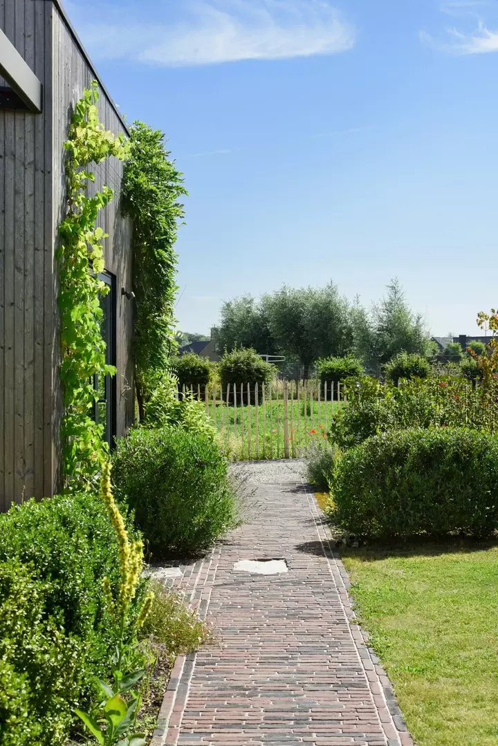 Natuurlijke tuin met bloemenweide - Tuinaannemer.be