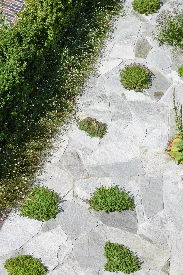 Natuurlijke tuin met bloemenweide - Tuinaannemer.be