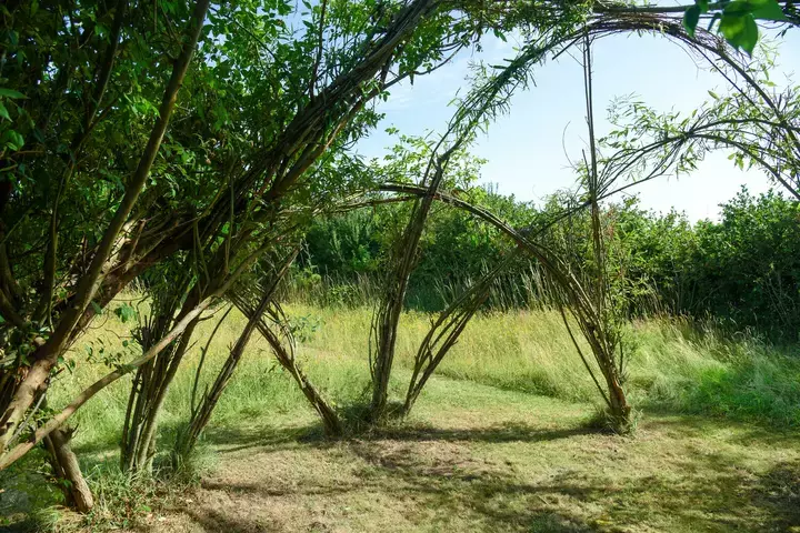 Natuurlijke tuin met bloemenweide - Tuinaannemer.be