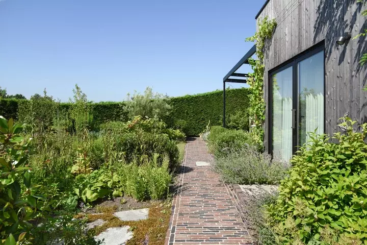Natuurlijke tuin met bloemenweide - Tuinaannemer.be