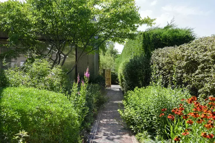 Natuurlijke tuin met bloemenweide - Tuinaannemer.be