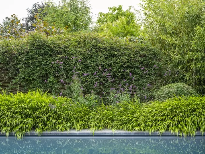 Natuurlijke tuin met zwembad - Tuinaannemer.be