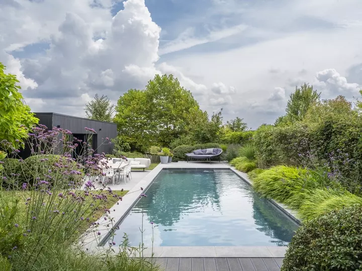 Natuurlijke tuin met zwembad - Tuinaannemer.be