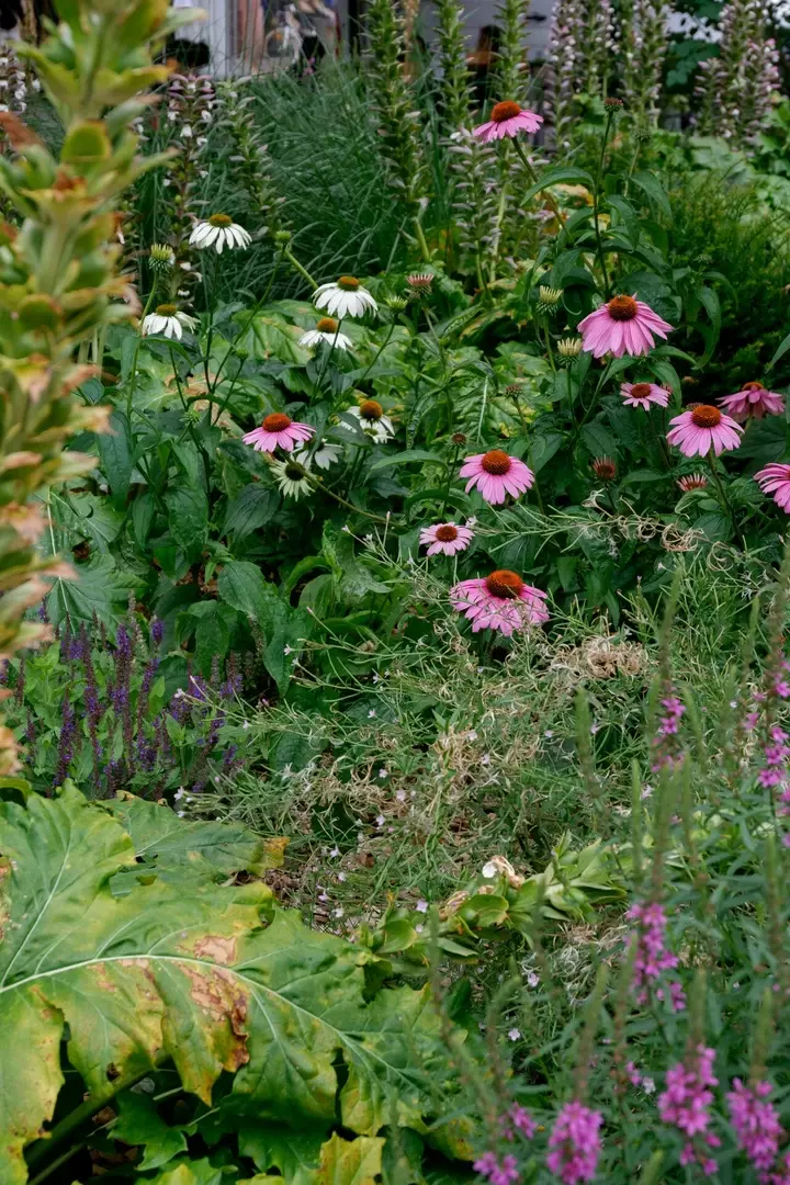 Permacultuur in je tuin - Tuinaannemer.be