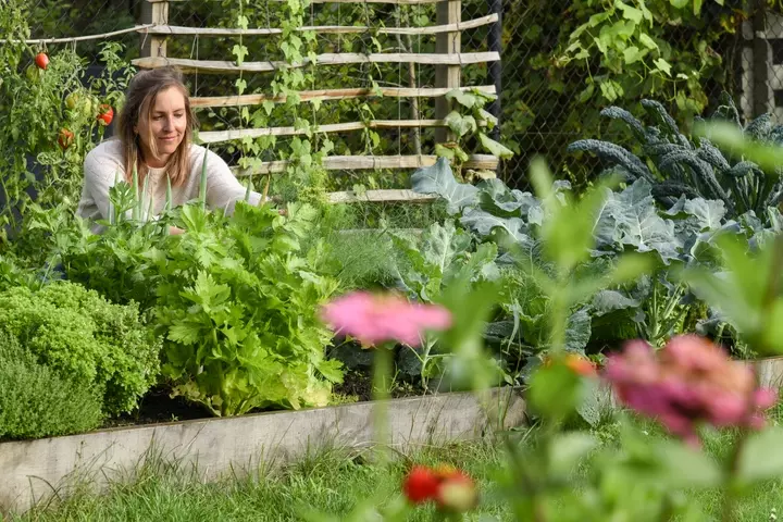 Creëer je eigen snoeptuin -  Tuinaannemer.be