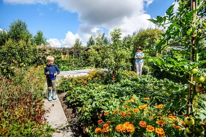 De tuin in april - Kruidenhoek