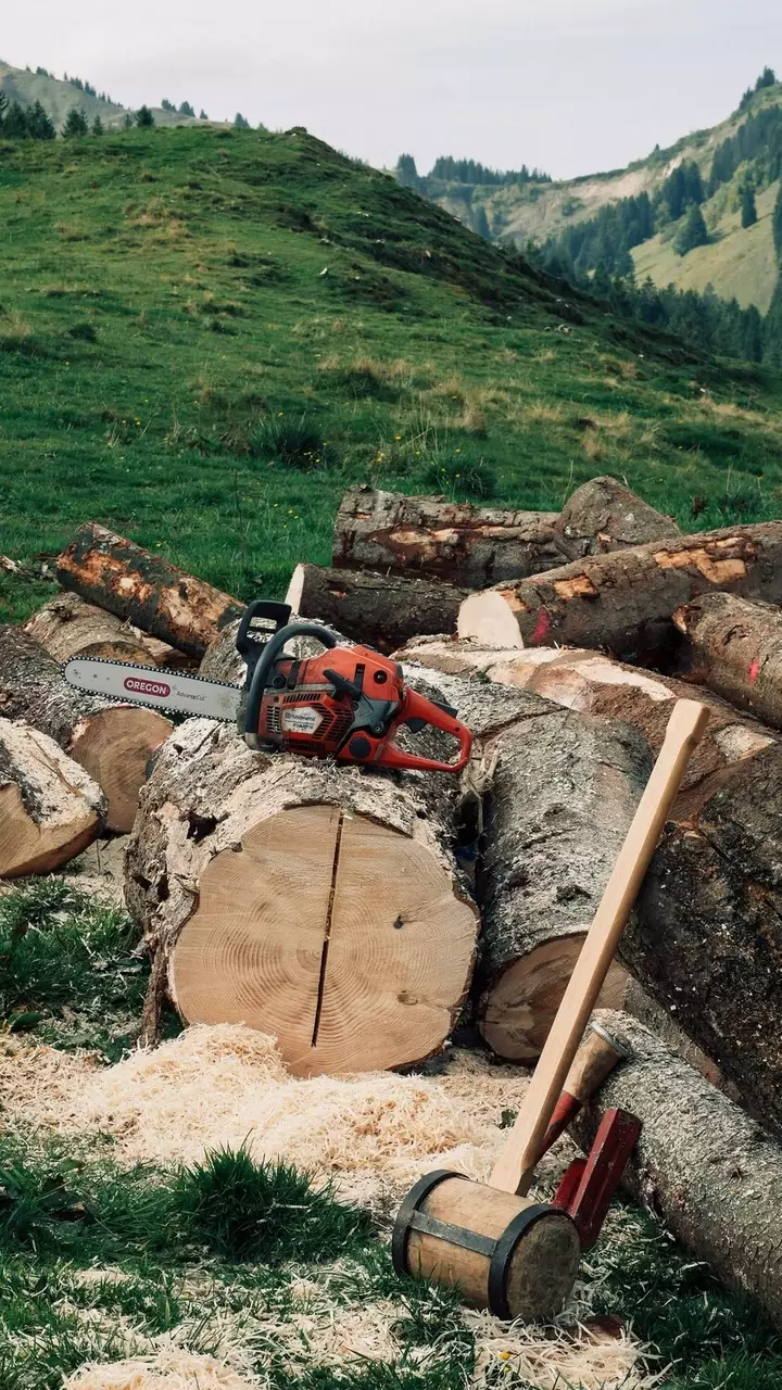 Vergunning bomen kappen - Tuinaannemer.be