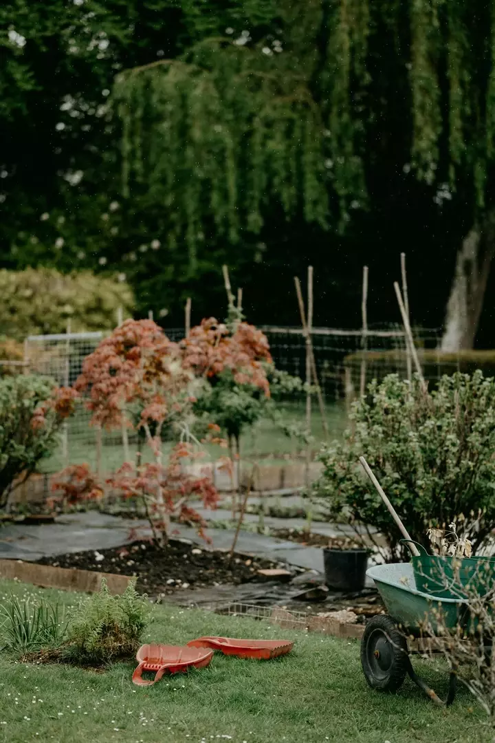 Wat kost tuinonderhoud - Tuinaannemer.be