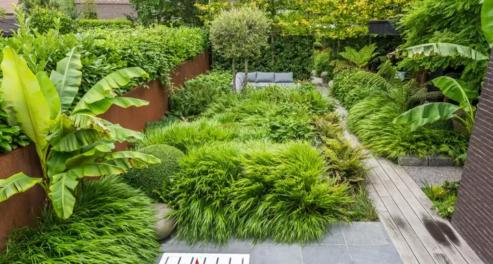 Compacte tuin - Tuinaannemer.be