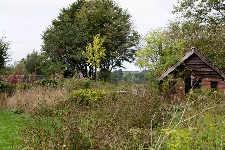Weelderige ecotuin - Tuinaannemer.be