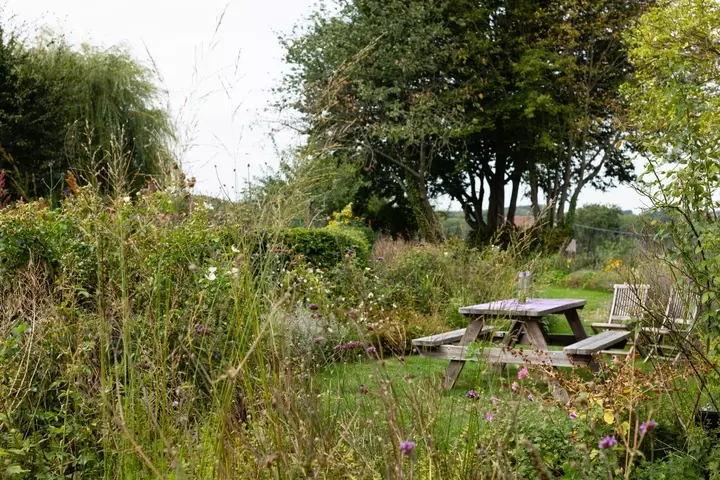 Weelderige ecotuin - Tuinaannemer.be