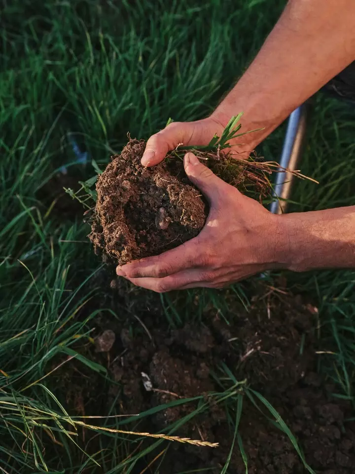 Grondwerk en bodemverbetering - Tuinaannemer.be