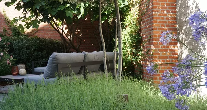 Stadstuin - slimme ontwerpen en plantenkeuzes - Tuinaannemer.be