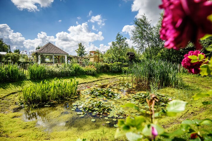 Natuurlijke tuin in Zedelgem