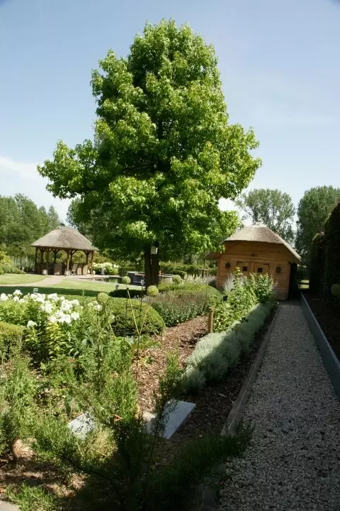 Onderhoudsvriendelijke tuin met zwemvijver - Tuinaannemer.be