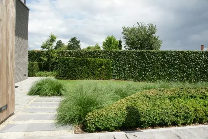 Kindvriendelijke tuin met zwembad - Tuinaannemer.be