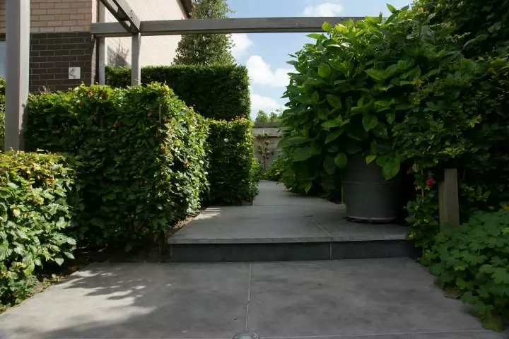 Zonnige en schaduwrijke tuinzones - Tuinaannemer.be