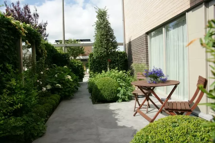 Zonnige en schaduwrijke tuinzones - Tuinaannemer.be