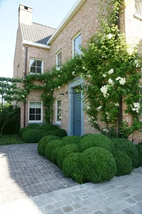 Moderne tuin aanleggen op zandgrond - Tuinaannemer.be