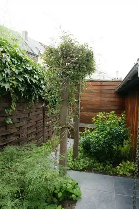 Moderne tuin