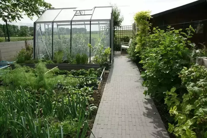 Smalle tuin inrichten - Tuinaannemer.be