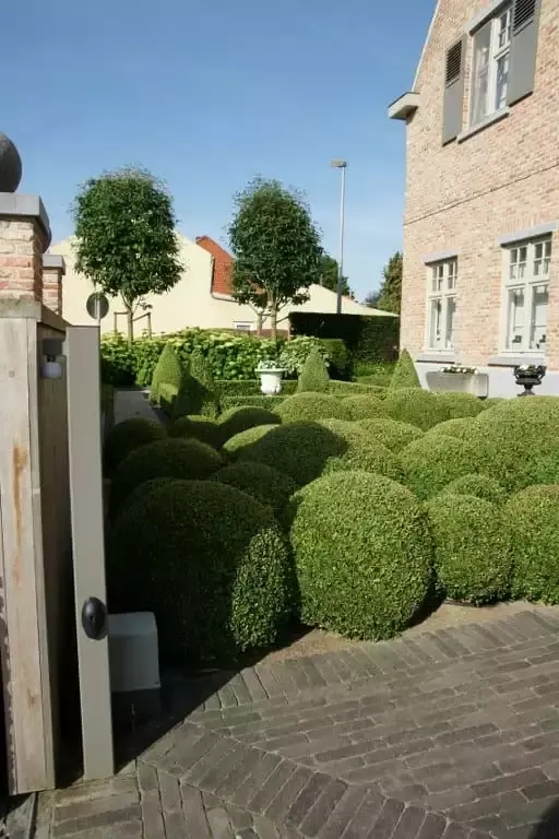 Moderne verzameltuin - Tuinaannemer.be