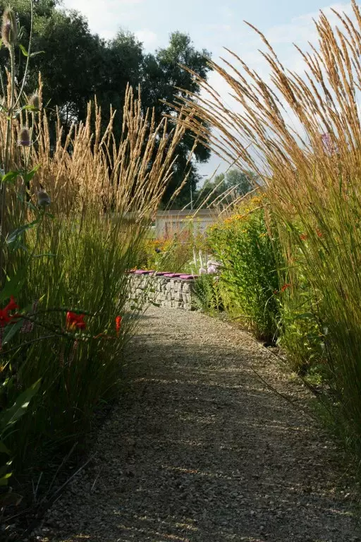 Prairietuin aanleggen - Tuinaannemer.be