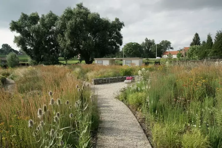 Prairietuin aanleggen - Tuinaannemer.be