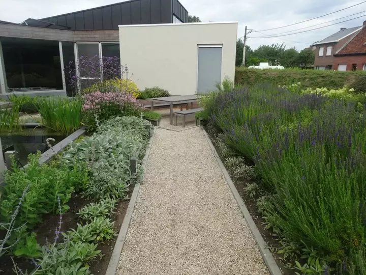 Kruidentuin voortuin - Tuinaannemer.be