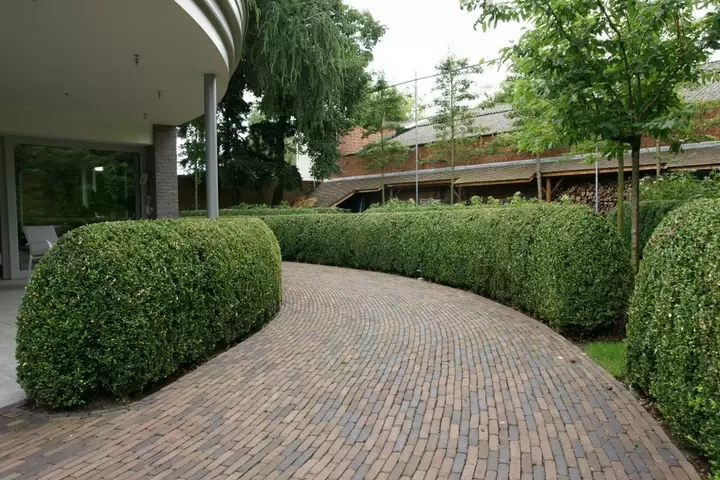 Landelijk tuinontwerp - Tuinaannemer.be