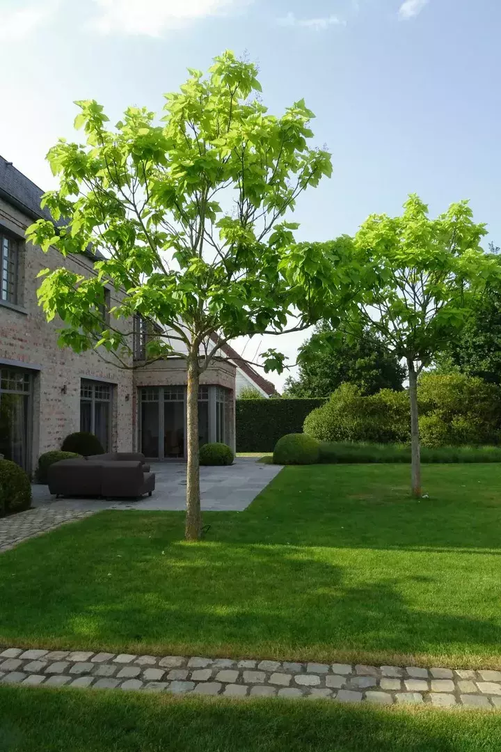 Tuin met privacy - Tuinaannemer.be