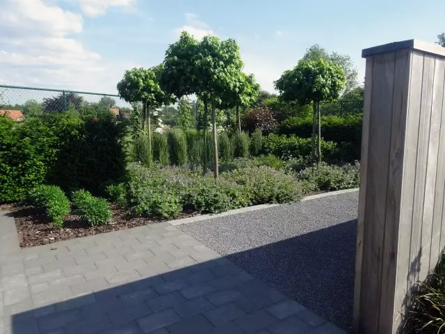 Tuinontwerp met koivijver - Tuinaannemer.be