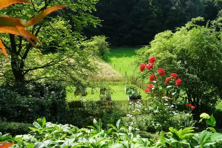 Landelijke tuin met hoogteverschillen - Tuinaannemer.be