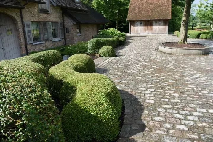 Tuin aanleggen op kleigrond - Tuinaannemer.be