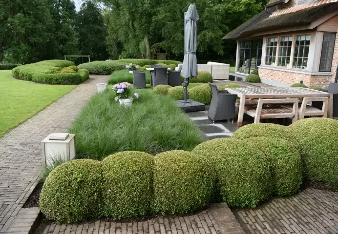 Tuin aanleggen op kleigrond - Tuinaannemer.be