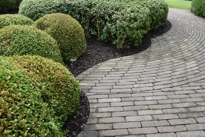 Tuin aanleggen op kleigrond - Tuinaannemer.be