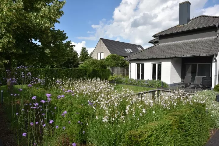 Moderne tuin ontwerp - Tuinaannemer.be