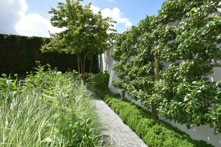 Luxe binnentuin met zwembad - Tuinaannemer.be