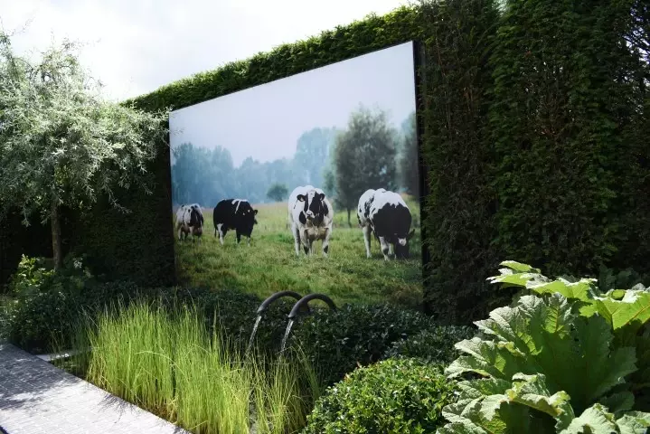Luxe binnentuin met zwembad - Tuinaannemer.be