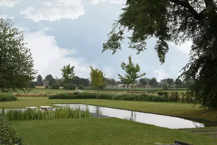Tuin met zwemvijver ontwerpen - Tuinaannemer.be