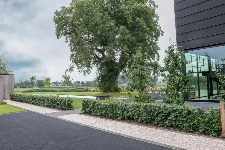 Tuin met zwemvijver ontwerpen - Tuinaannemer.be