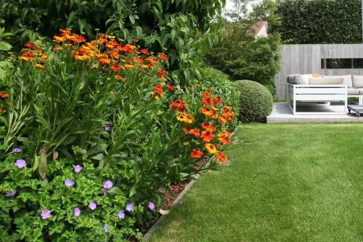 Moderne tuin met waterpartijen - Tuinaannemer.be
