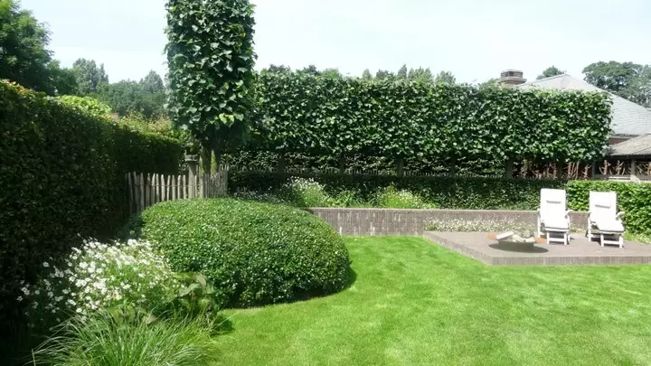 Groene tuinrenovatie - Tuinaannemer.be