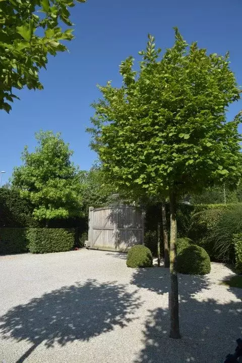 Landelijke tuin met parkeerruimte - Tuinaannemer.be