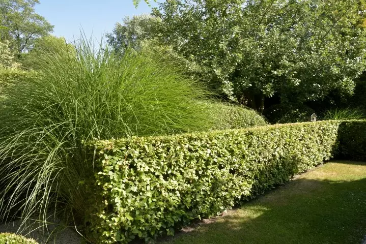 Landelijke tuin met parkeerruimte - Tuinaannemer.be