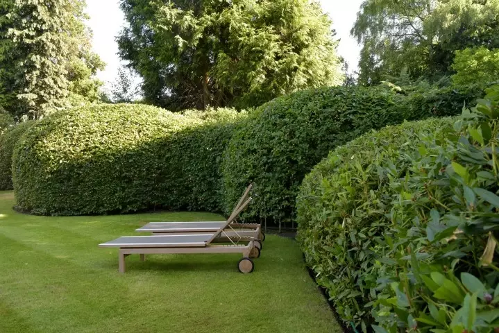 Landelijke tuin met parkeerruimte - Tuinaannemer.be