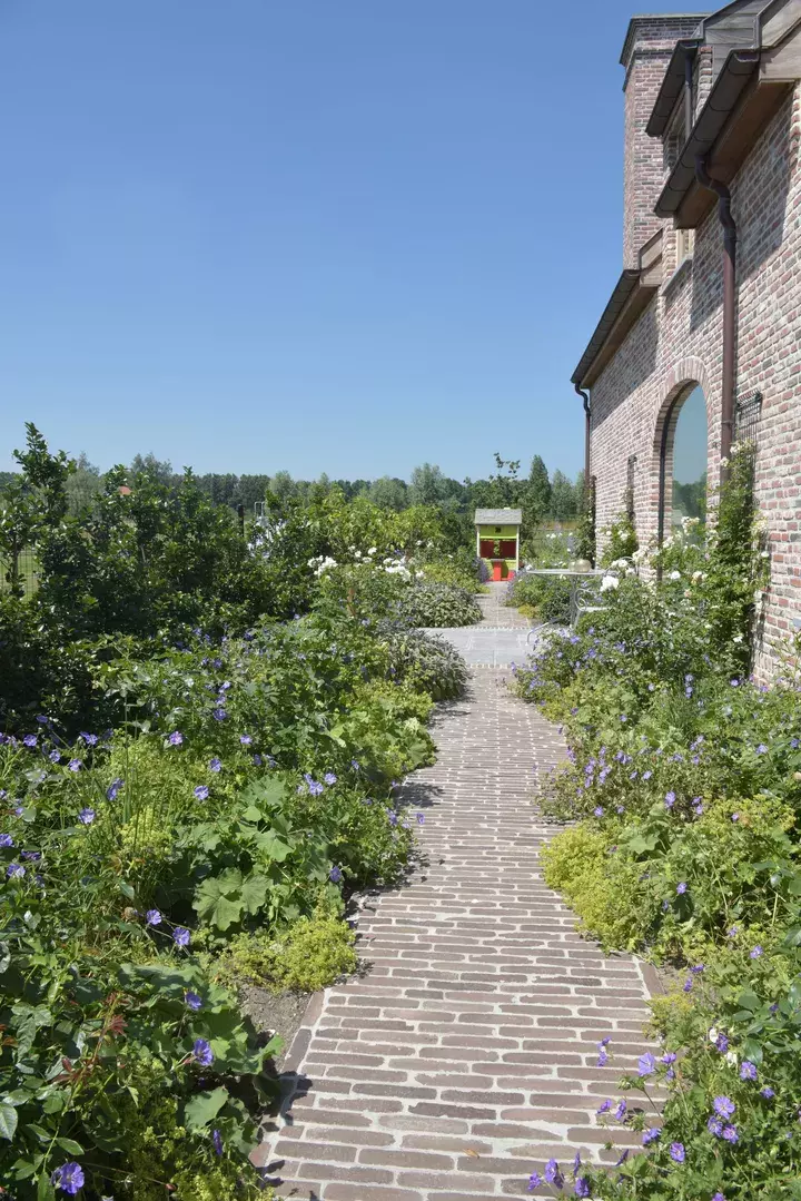 Ruimtelijke tuin ontwerpen - Tuinaannemer.be