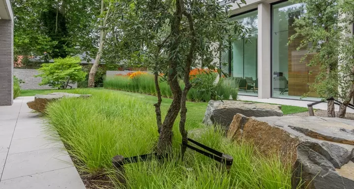 Moderne tuin met zwembad - Tuinaannemer.be