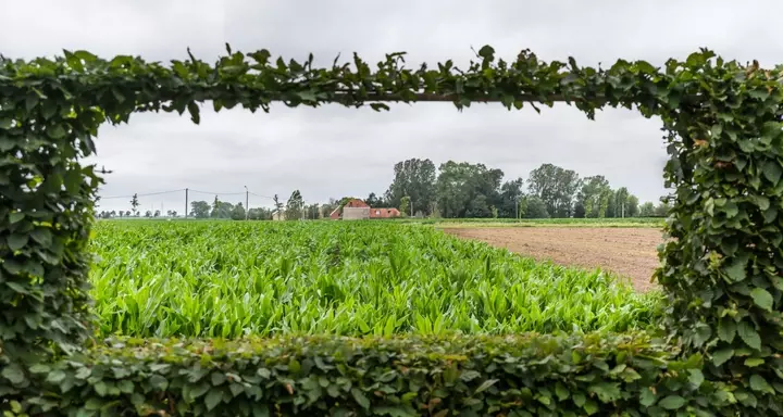 Familietuin met wellness - Tuinaannemer.be