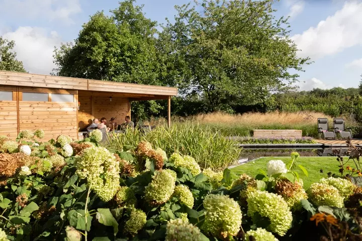 Strakke tuin met biologische zwemvijver - Tuinaannemer.be